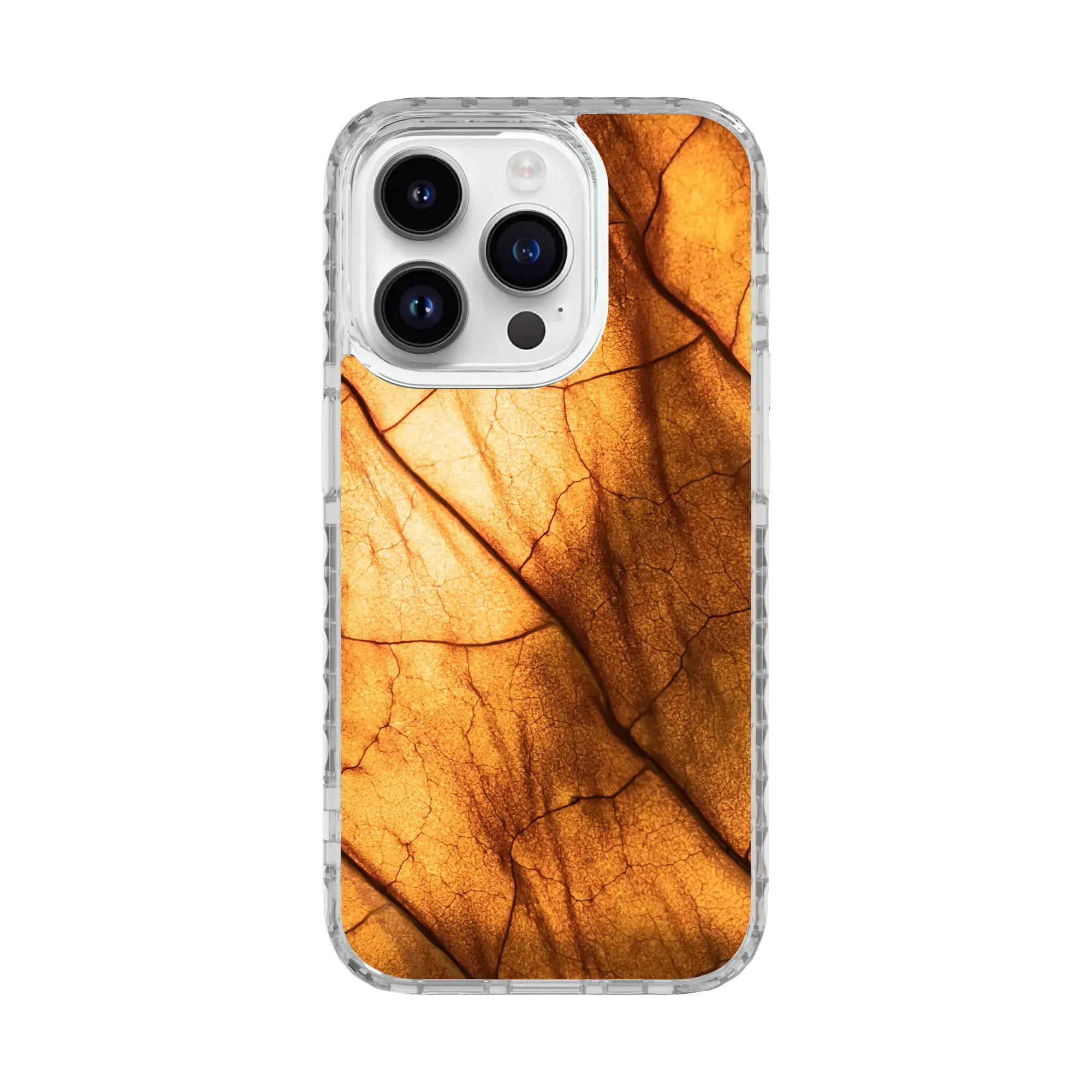 Golden Maple | Autumn Leaves | Custom MagSafe Case Design for Apple iPhone 15 Series